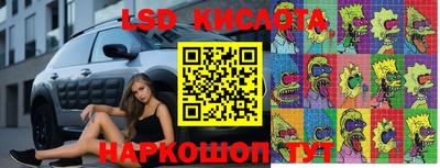 амфетамин Гатчина