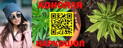 мет Гай