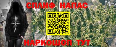 амфетамин Гатчина