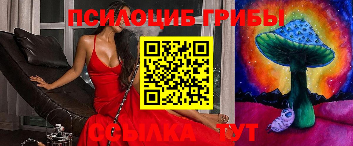 Псилоцибиновые грибы прущие грибы Чехов